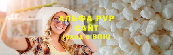 стаф Арсеньев