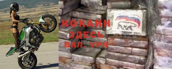 стаф Арсеньев