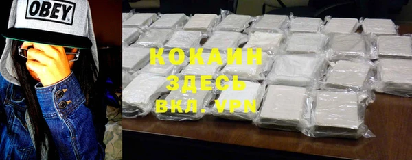 стаф Арсеньев