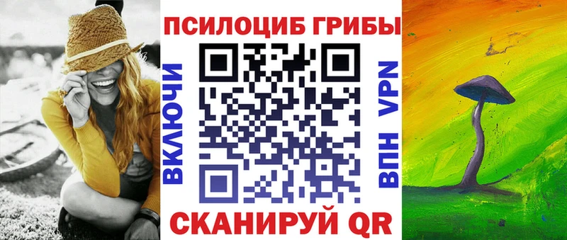 где купить наркоту  Бабаево  Псилоцибиновые грибы мухоморы 